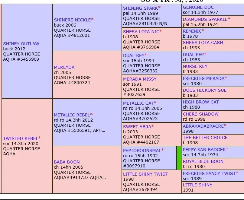 pedigree shiney outlaw x twisted rebel.jpg