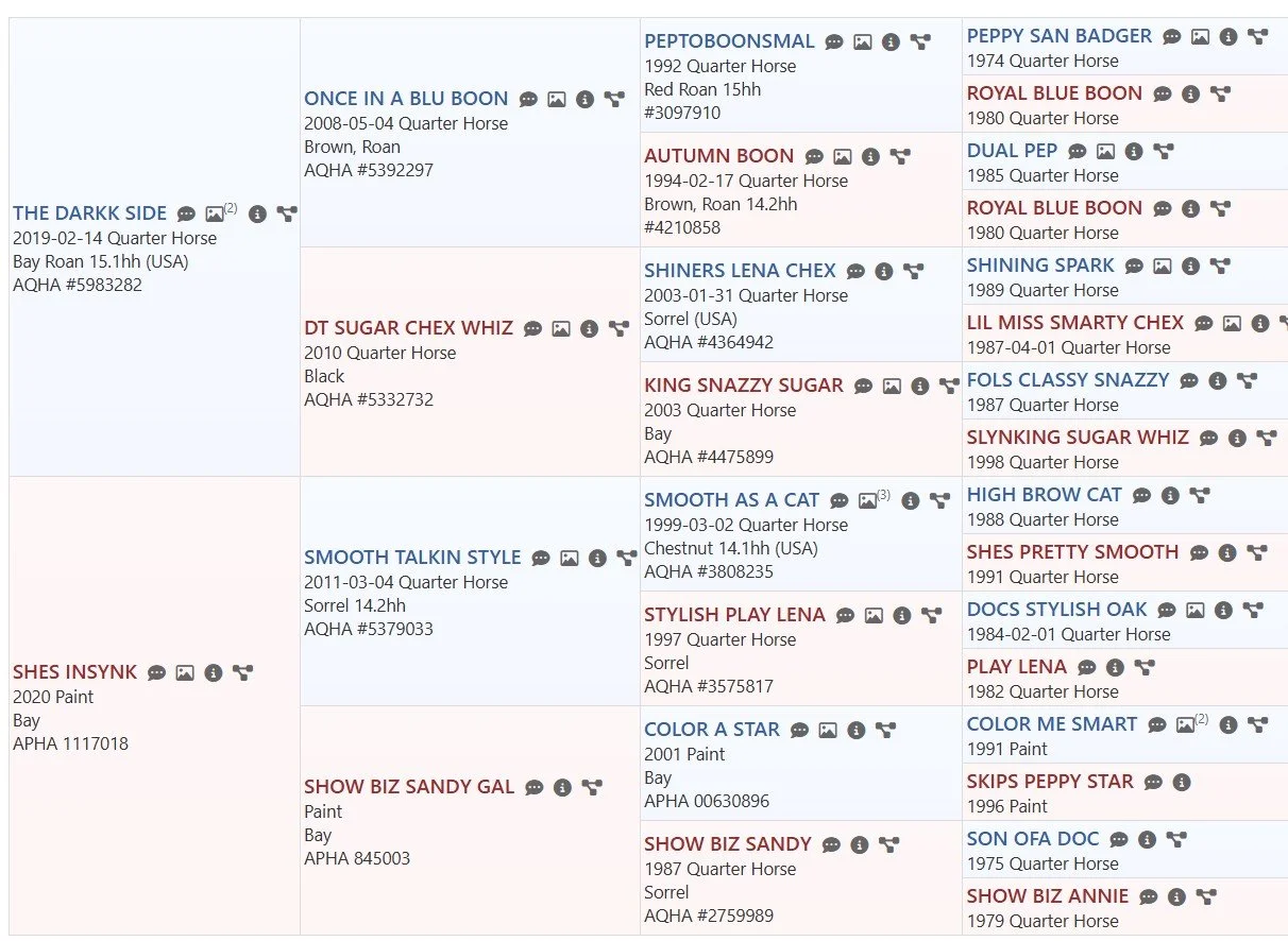 pedigree the darkk side x shes insynk.jpg