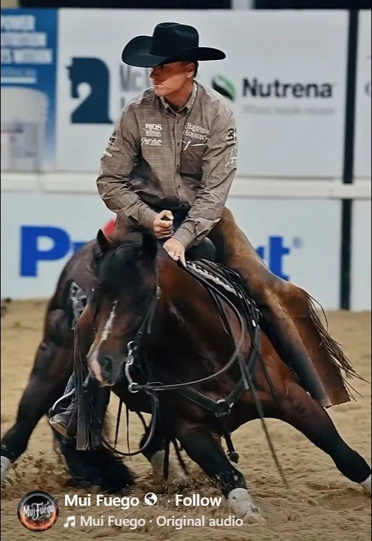 Mui Fuego x RT Patty Cats x Metallic Cat