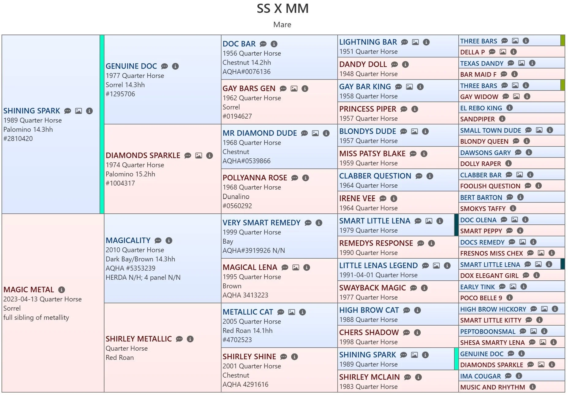 pedigree shining spark x magic metal.jpg
