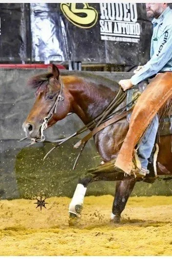 My Pistols Hott x Naughty Child x Smooth As a Cat