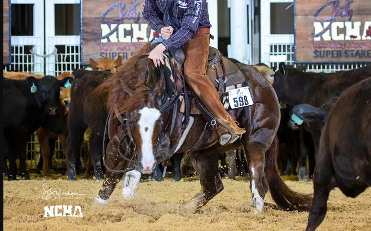 Catolena Cashin In x RT Patty Cats x Metallic Cat