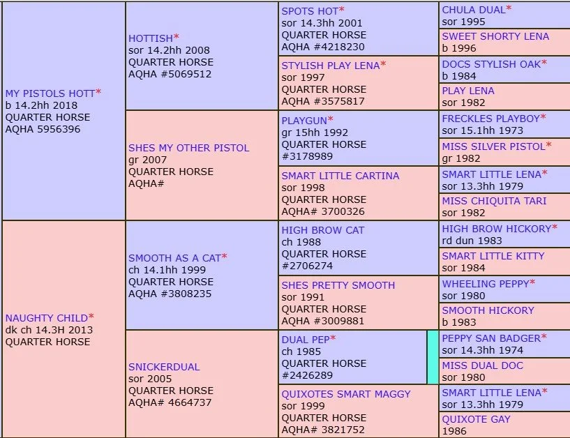 my pistols hott x naughty child pedigree.jpg