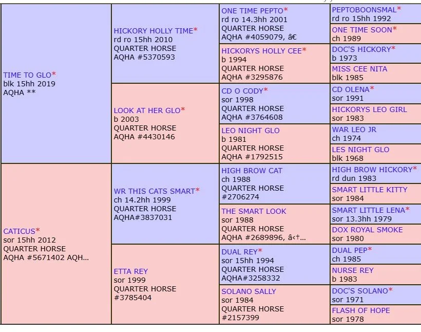 time to glo x caticus pedigree.jpg