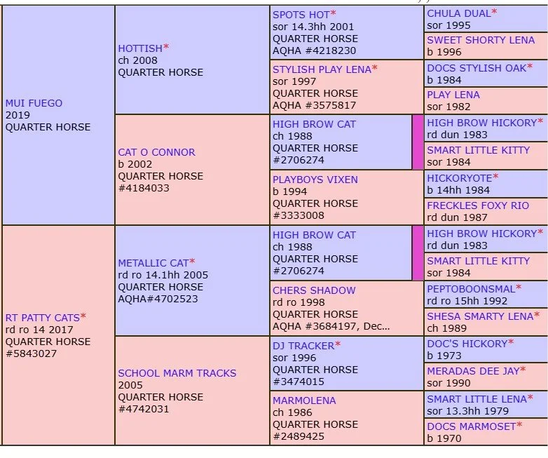 mui fuego x lulu pedigree.jpg