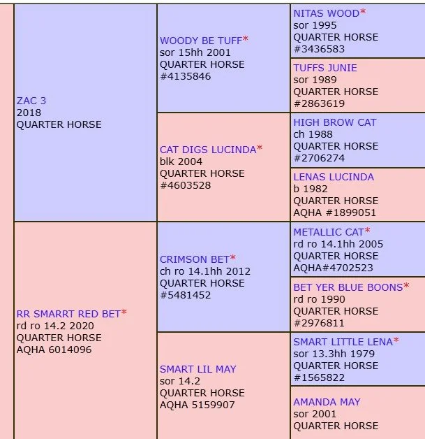 zac 34 x snickers pedigree.jpg