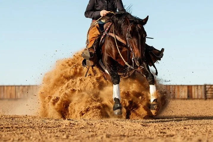 Magicality-Stallion-In-Action.jpg