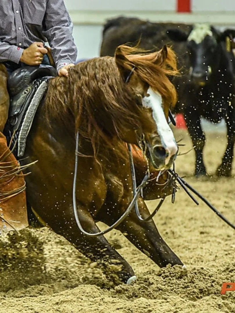 Countin Hot Checks x Rey To Shine x Dual Rey LTE $45,000