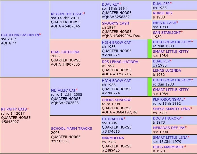 cci x rtpc pedigree.jpg