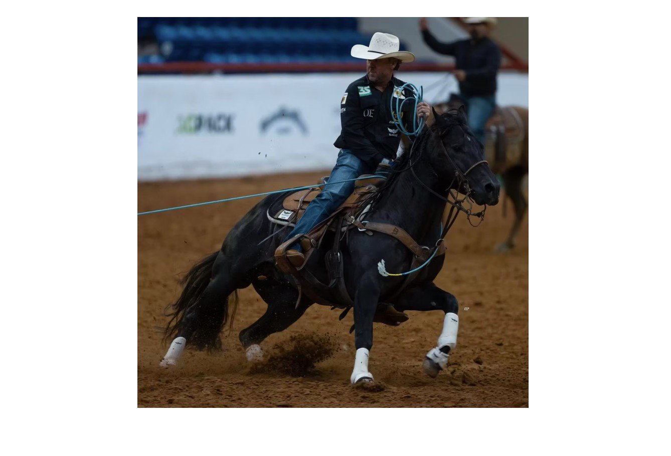 TIME TO GLO X CATICUS X WR THIS CATS SMART