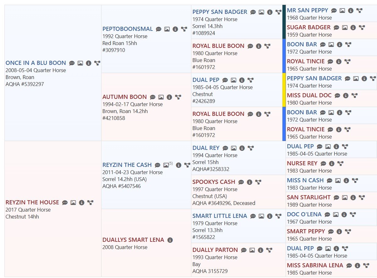 oiabb x rth pedigree.jpg