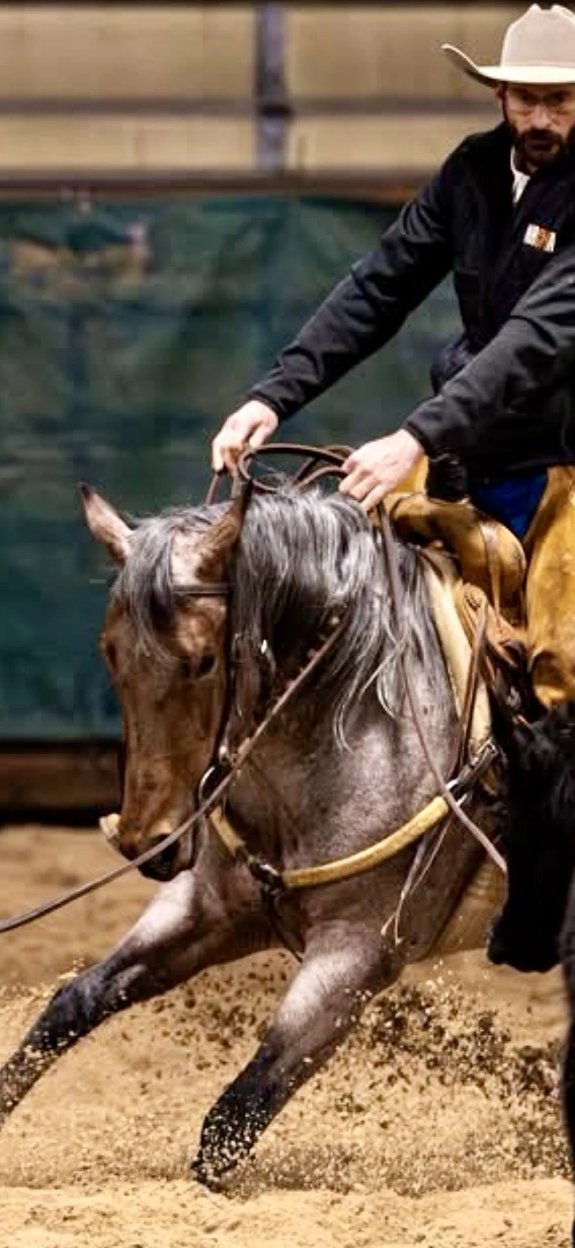 With Matt Koch for Cow Horse Training. Filly-"ONE METALLIC KITTY" AKA “Starfire” Once In a Blu Boon x Not Yo Kitty (LTE $28,548 x Metallic Cat) Bay Roan 2/10/2023