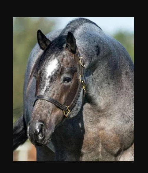 Once In A Blue Boon x Reyzin the House x Reyzin the Cash