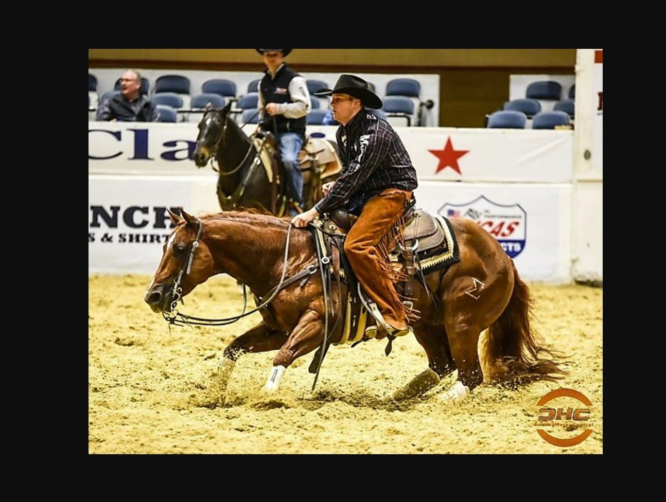 cr gotcha covered stallion cutting.jpg