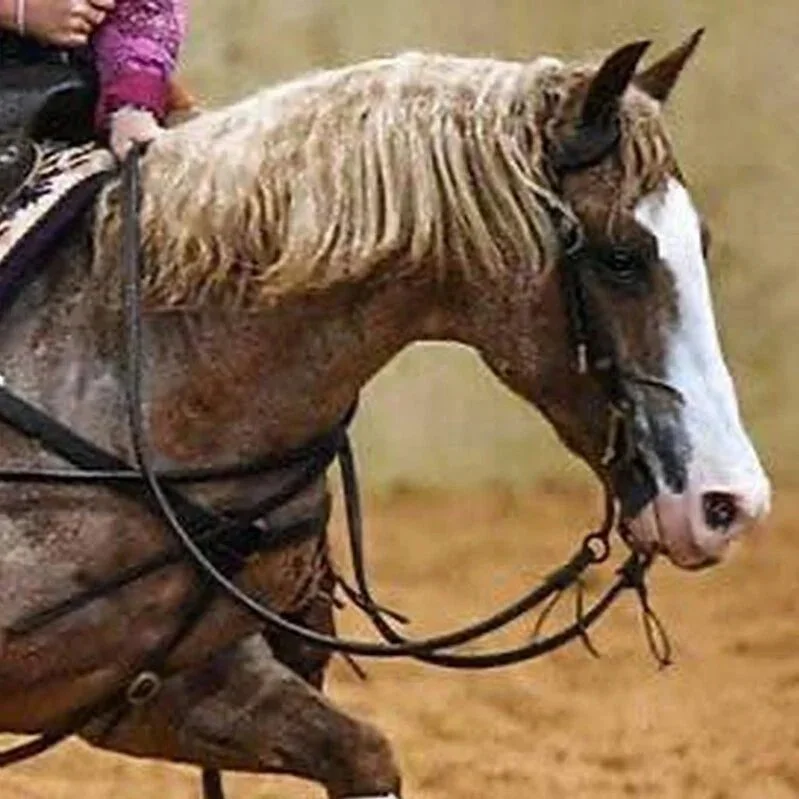 Metallic Cattack x Semi Dry China x Smart Chinalena