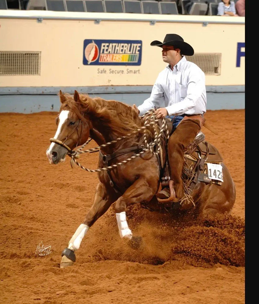 mr plyinstylish slide.jpg