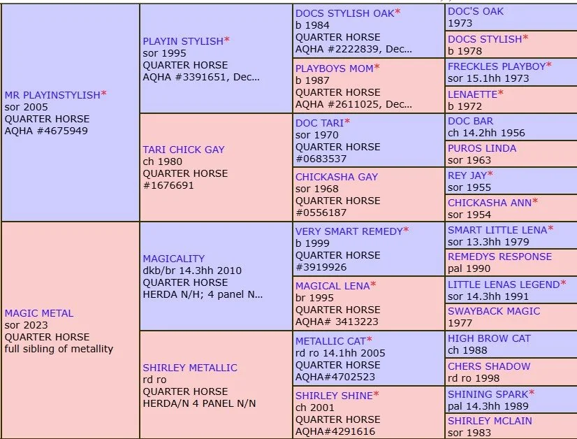 mr playinstylish x magic metal pedigree.jpg