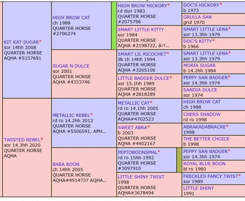 kks x tr pedigree.jpg