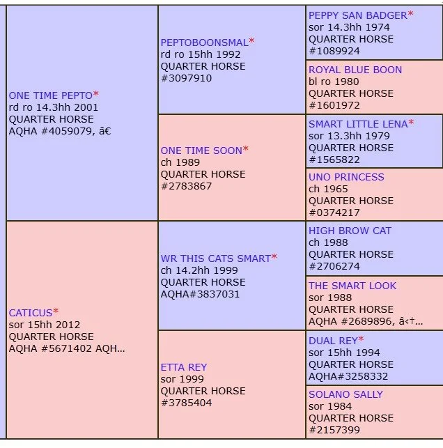 one time pepto x caticus pedigree.jpg