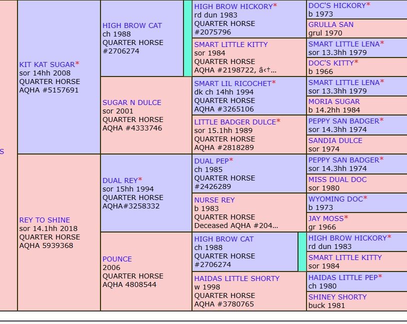 kit kat sugar x rey to shine.jpg