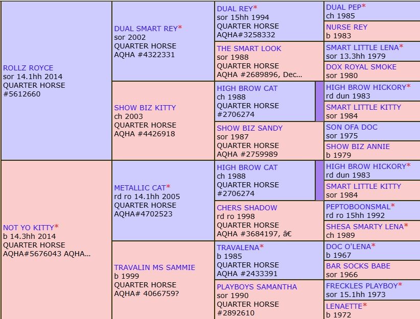 rr x nyk pedigree.jpg