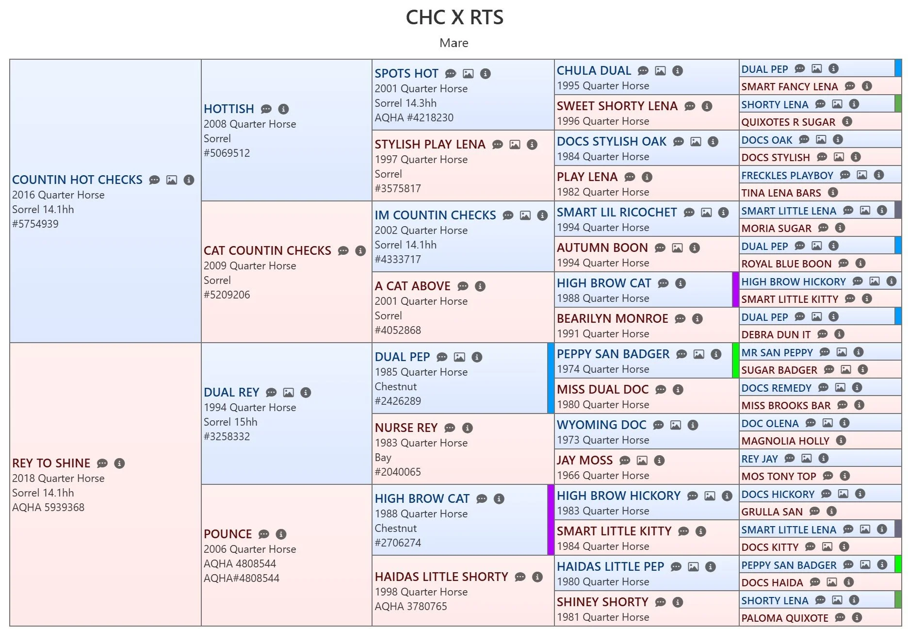 pedigree countin hot checks x rey to shine.jpg