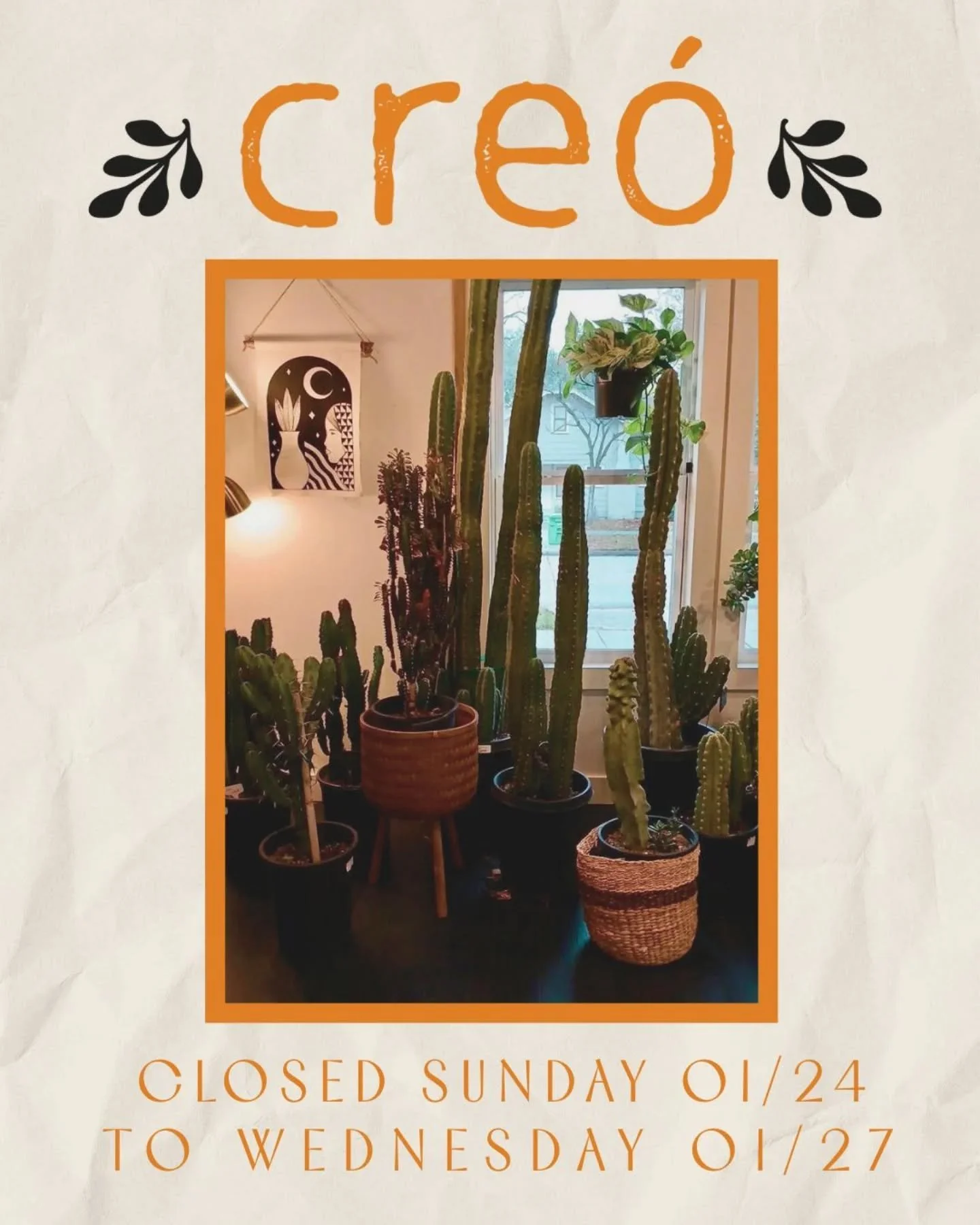 If you're cold, they're cold 🌵🥶

In case you haven't heard, it's about to get real cold here in Houston. We (and all of our plants) are sticking to the indoors this weekend, and we recommend you do too. 

We're closing at 5pm today, but regular bus