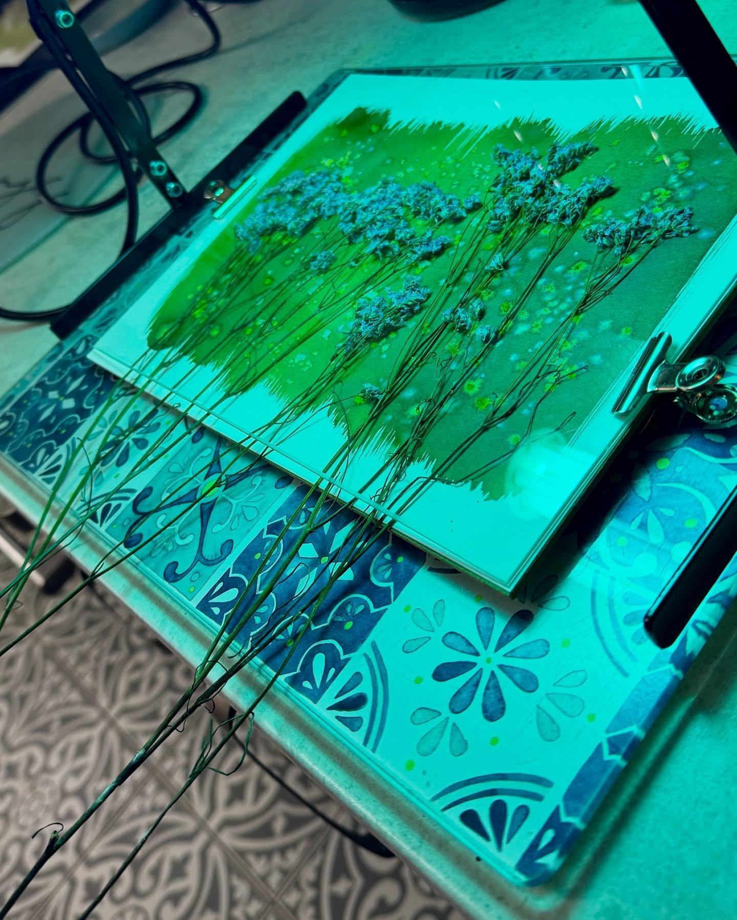 Creating cyanotypes&hellip; 💙🌿🌾🌼🪶☘️🌷🤍

#cyanotypes #cyanotypeartist #cyanotypeprocess #foraging #highlandtidedesigns