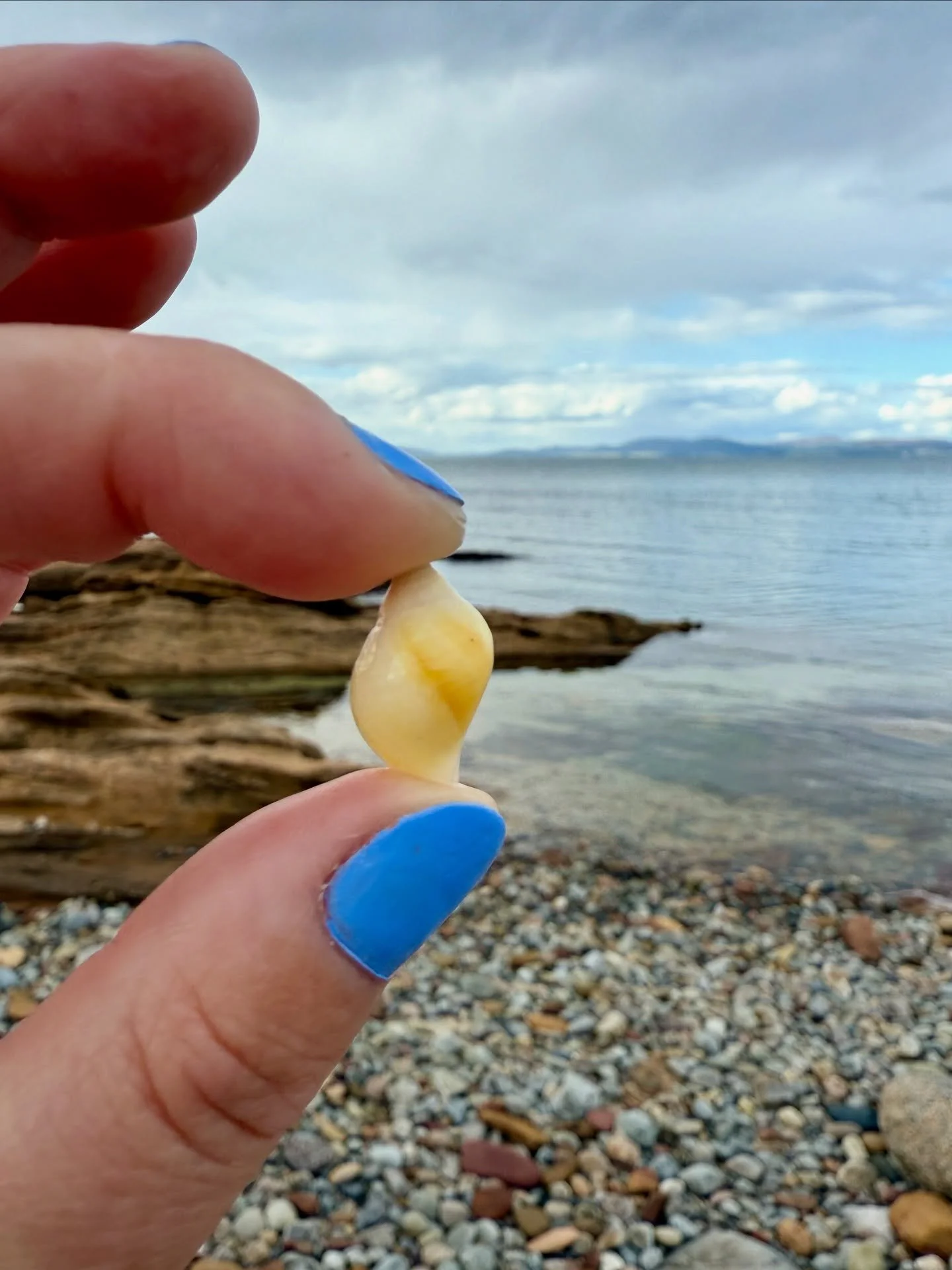 A bit of a #throwback to September beachcombing at Portmahomack&hellip;not been out much since I got back from Rhodes unfortunately due to my back but I will share some stunning Rhodes finds on here soon and also have a huge batch of gorgeous pieces 