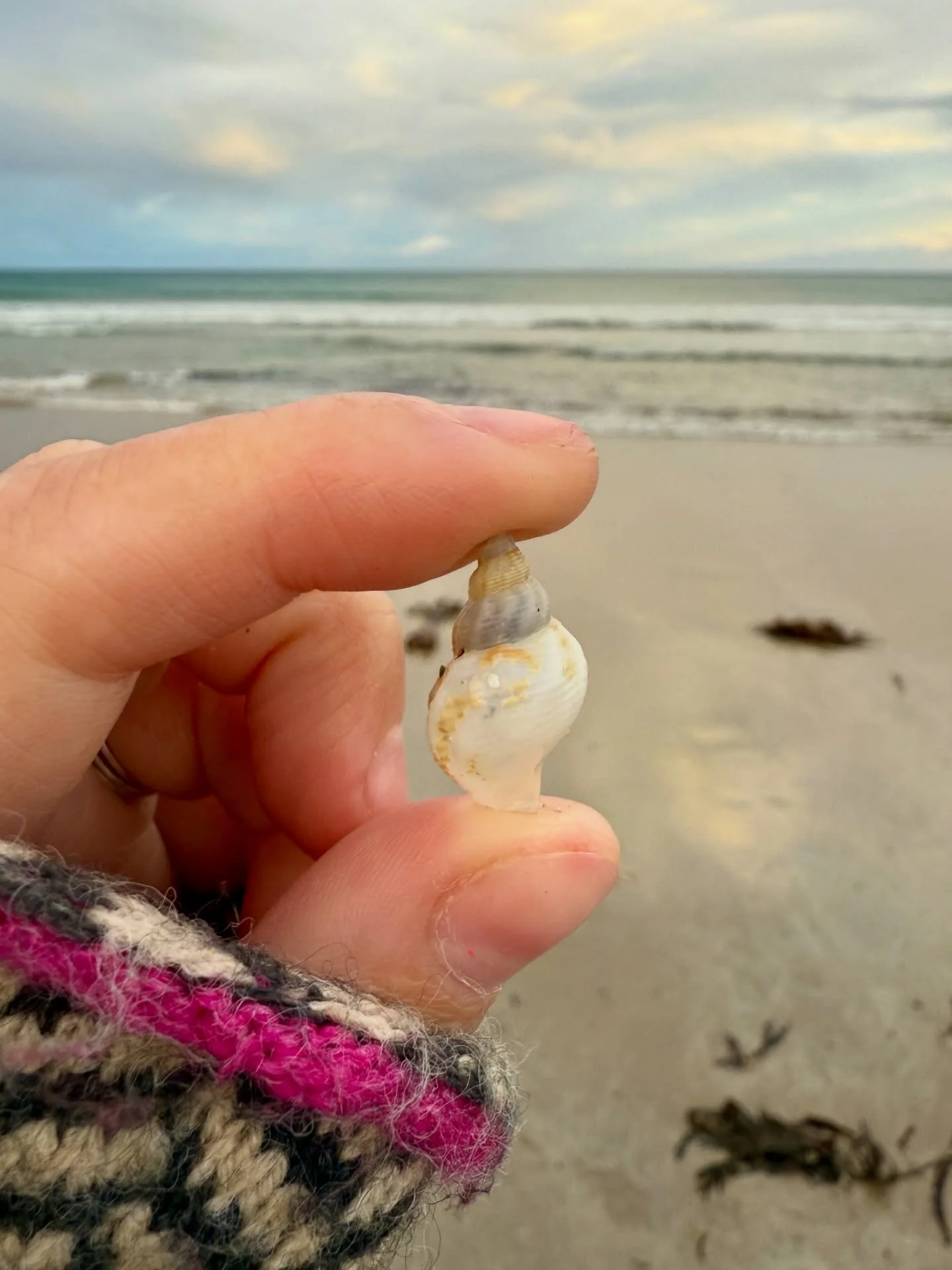 #throwback to November beachcombing at Reiss Beach, Caithness 🩵 Didn&rsquo;t expect to find much on this one so was pleasantly surprised&hellip; 👌

#reissbeach #caithness #beachcombing #scottishseaglass