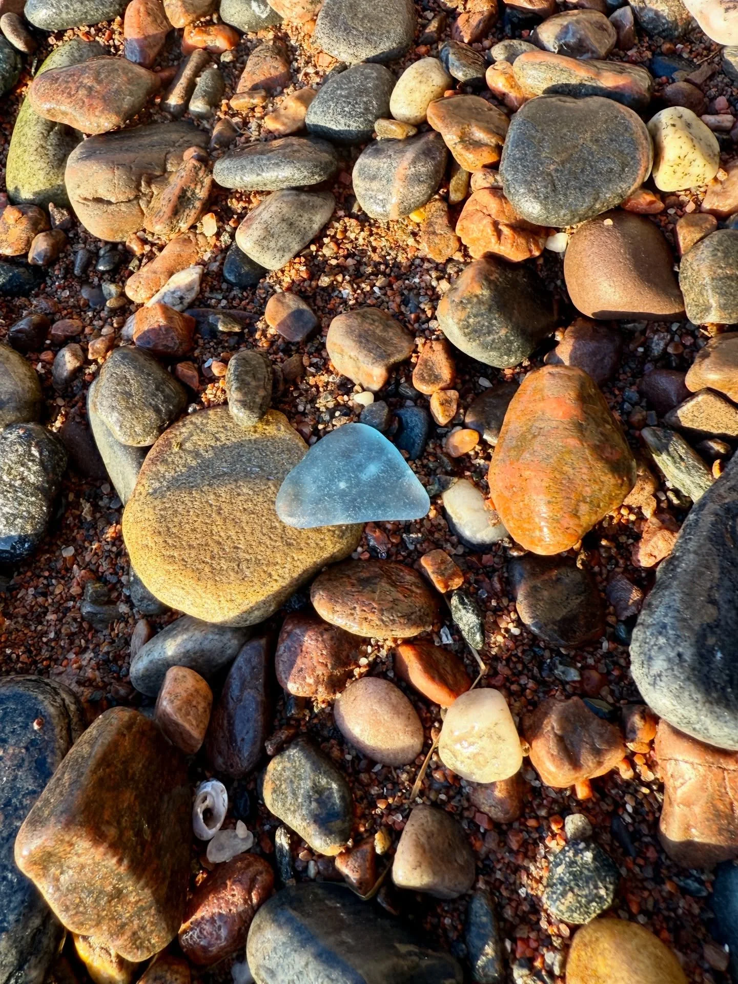 Hope everyone had a lovely Christmas!? 🥰🎄🎁 Here&rsquo;s some beachcombing action from Christmas Eve at Chanonry Point&hellip;🩵

#chanonrypoint #fortrose #beachcombing #beachcomber #seaglass