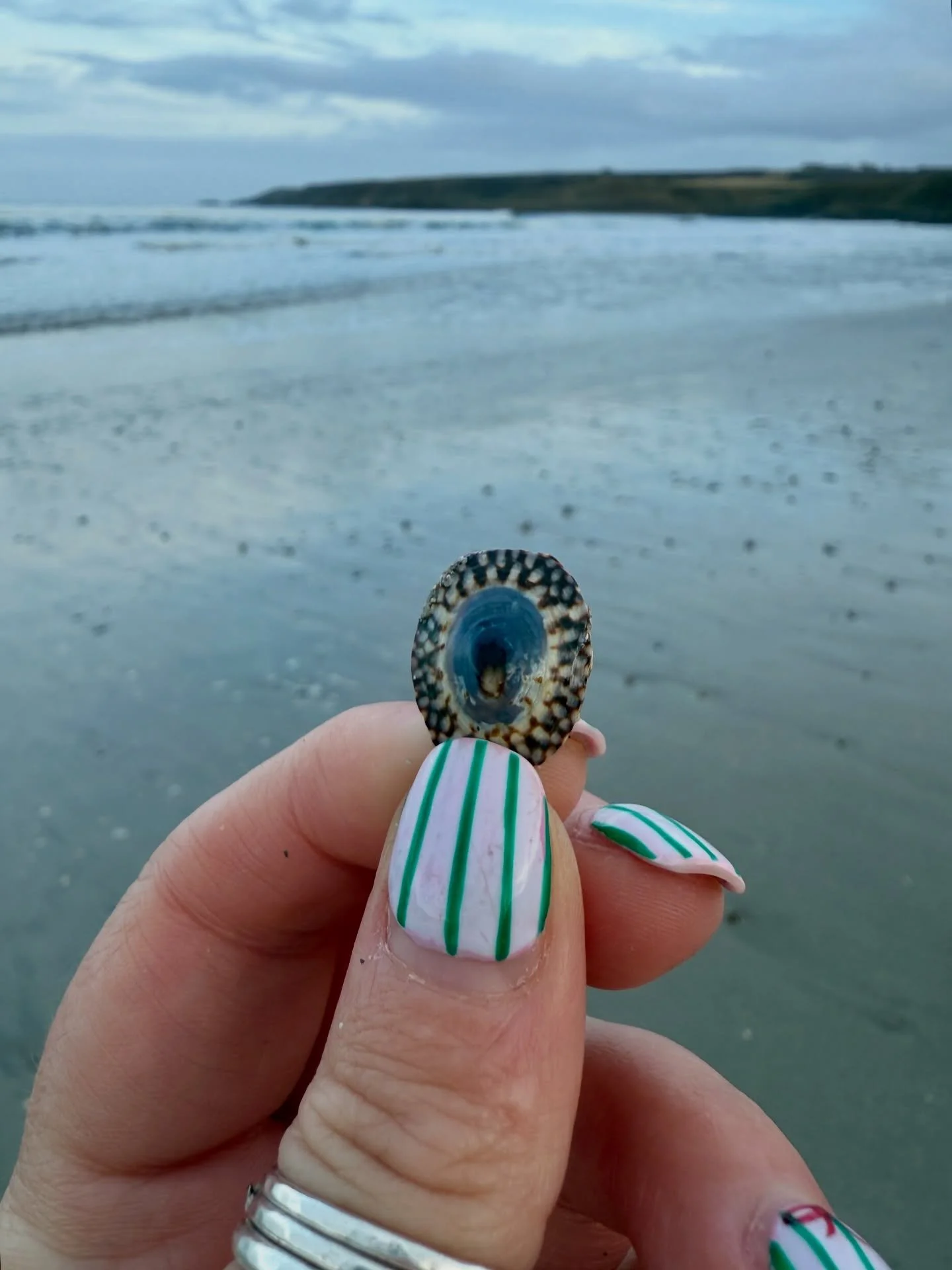 December Beachcombing at Sandend&hellip; 🩵

#sandendbeach #aberdeenshire #beachcombing #beachcomber #shells