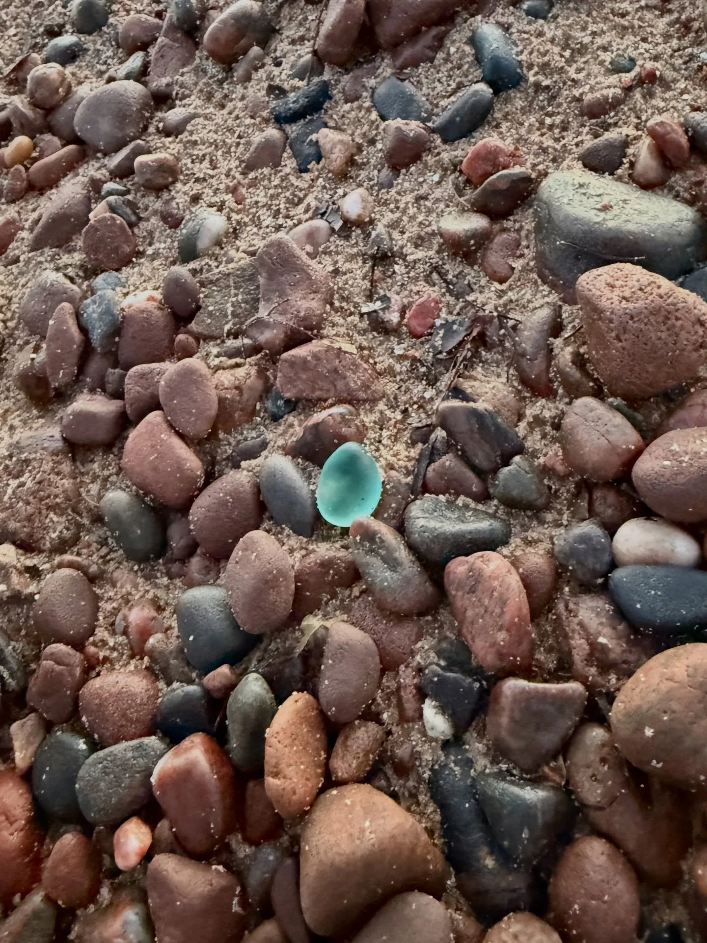 January Beachcombing at Chanonry Point, Part 2 🩵