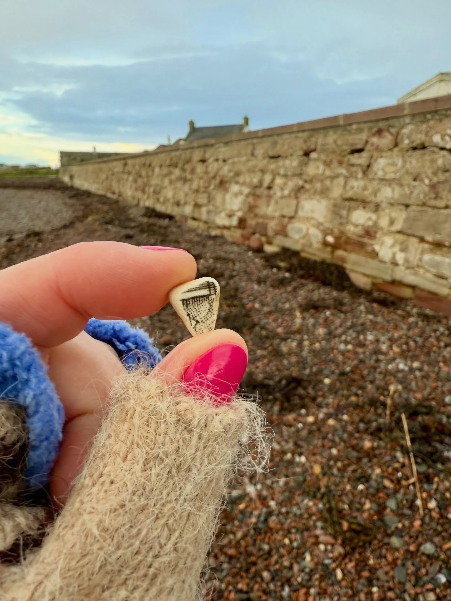 January Beachcombing at Chanonry Point, Part 1 🩵
