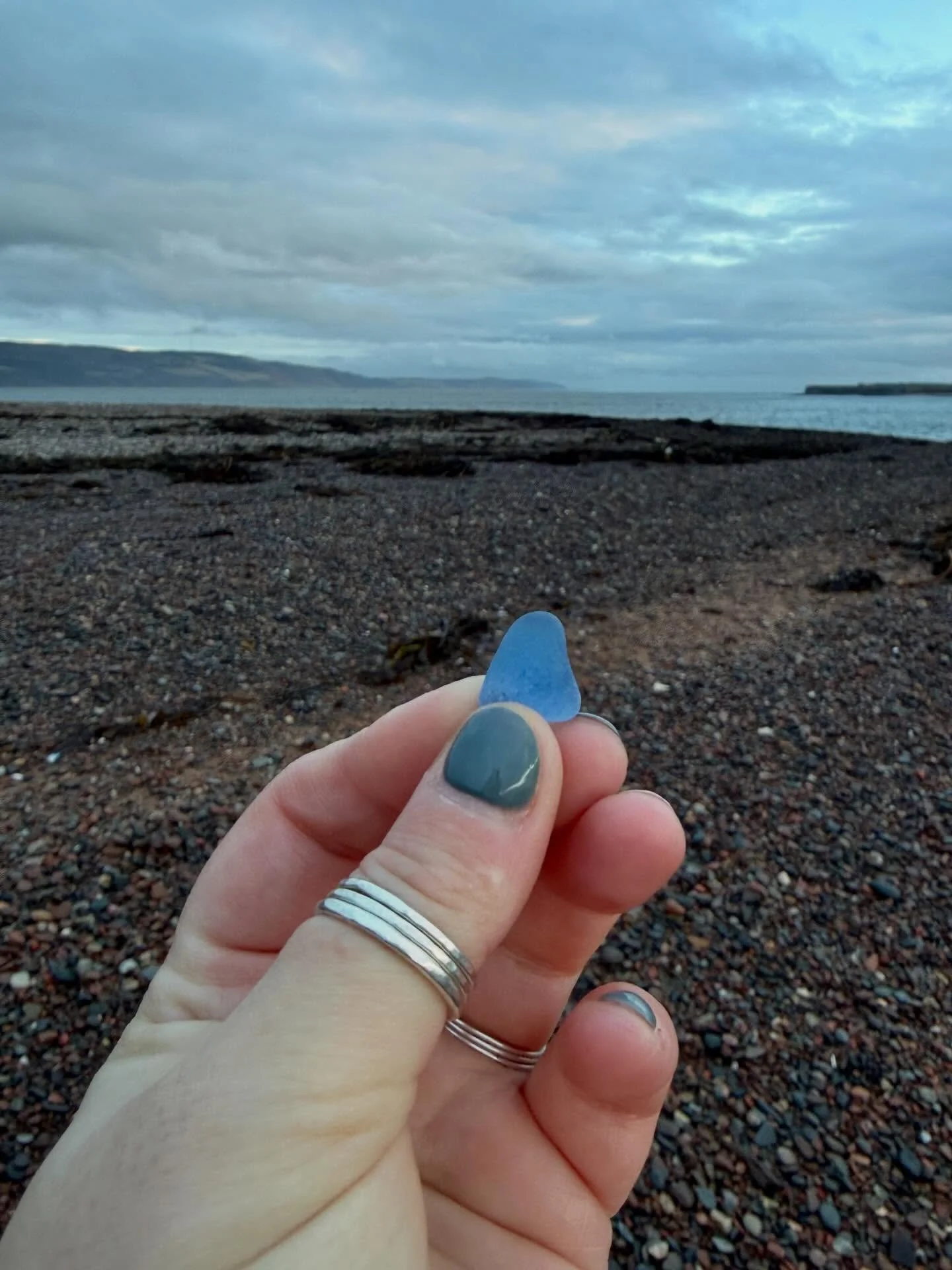 Some more treasures from Chanonry Point, gathered over a few different visits&hellip; 🩵