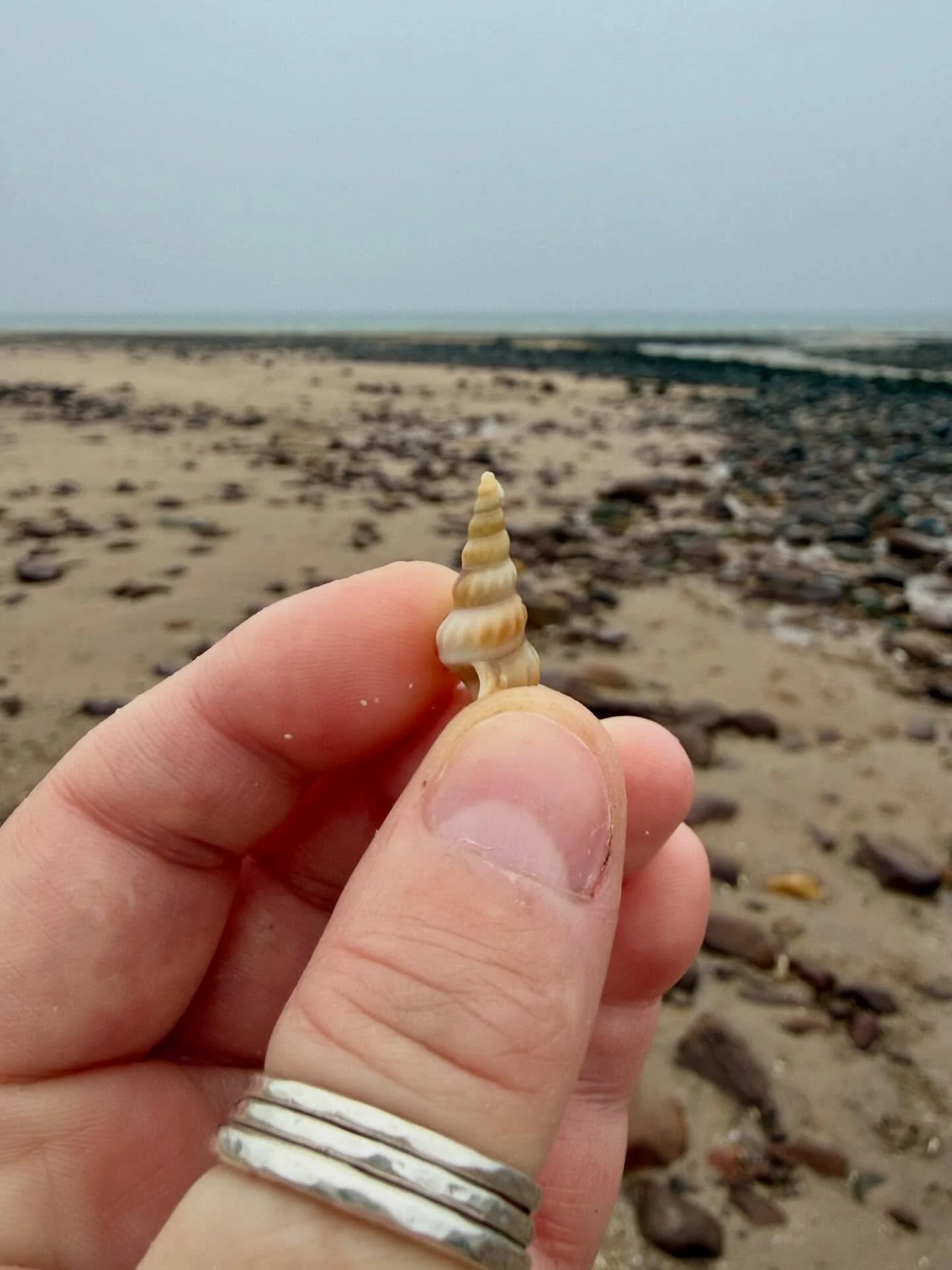 Some Big Sand Beach finds from a few weekends back&hellip;was a very wet day but was joined by @redrubyrose for a lovely catch up! 🩵