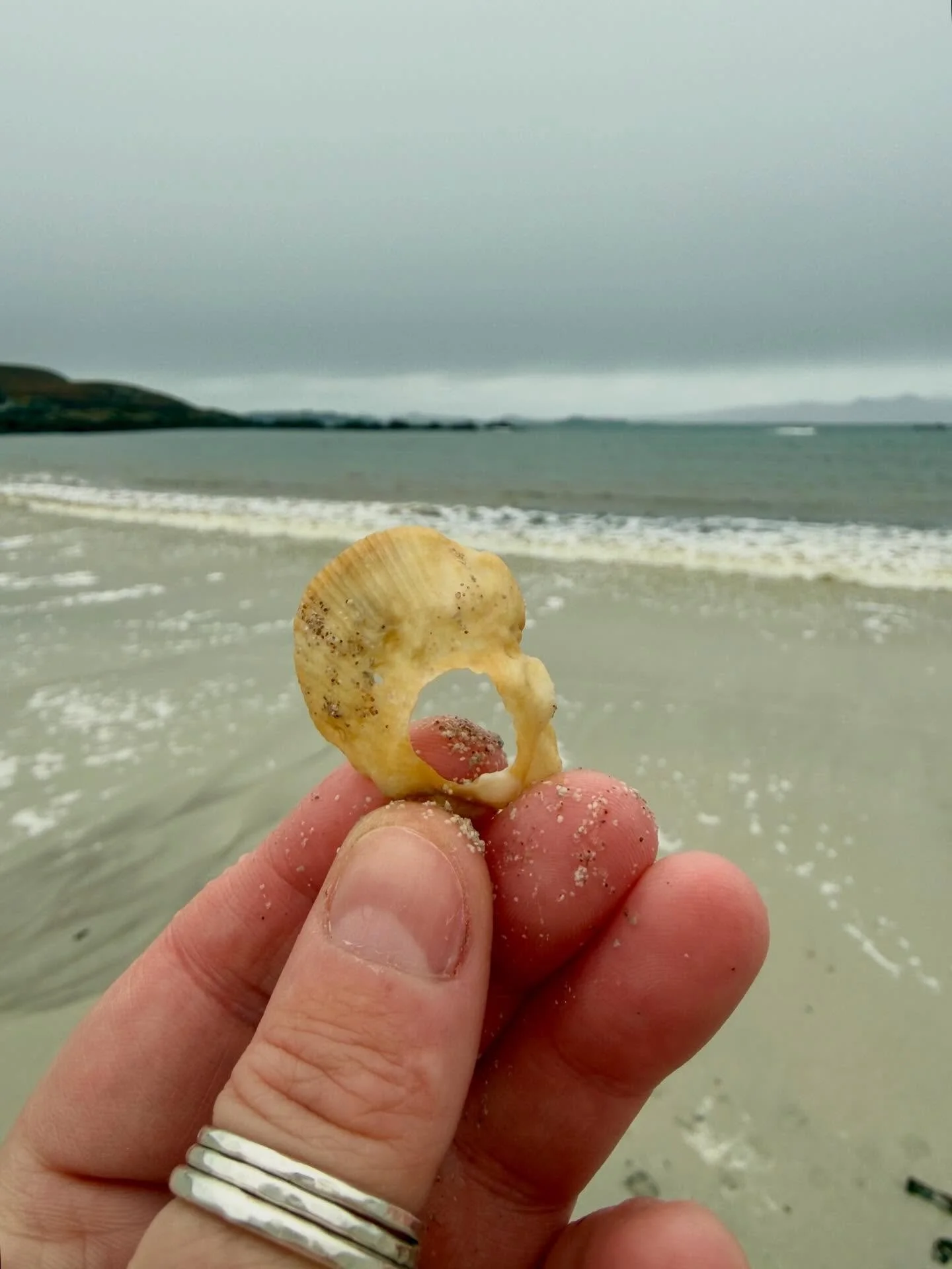 Mellon Udrigle Beach Beachcombing&hellip; 🩵

My happy place, even when it&rsquo;s chucking it down with rain! 😂🙈