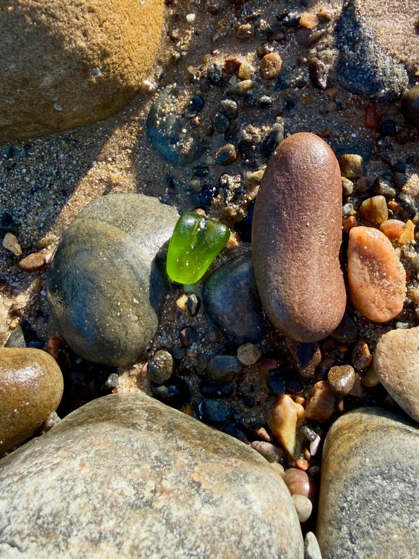 Shandwick Bay finds&hellip; 🩵