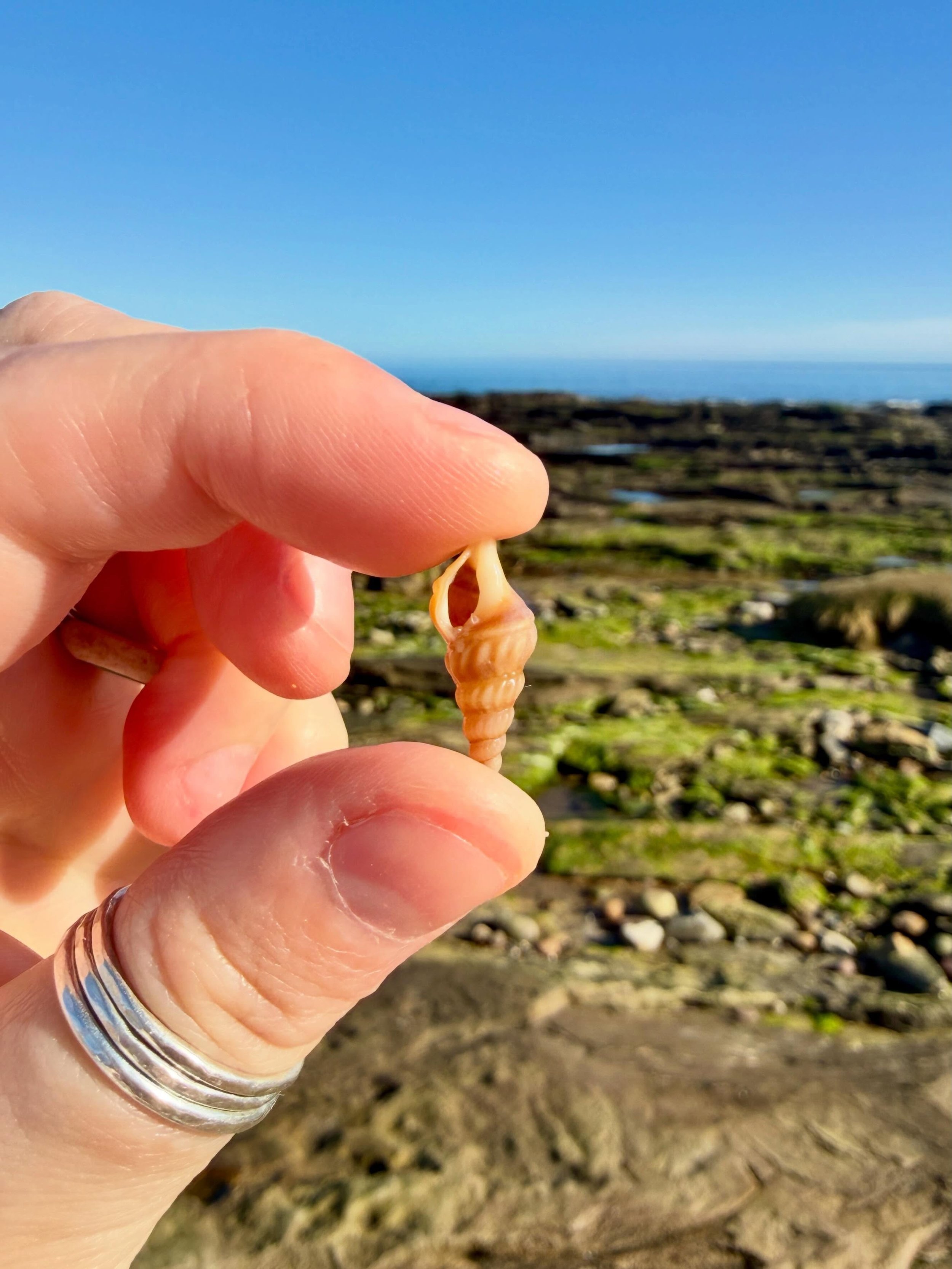 Embo Beach finds&hellip; 🩵