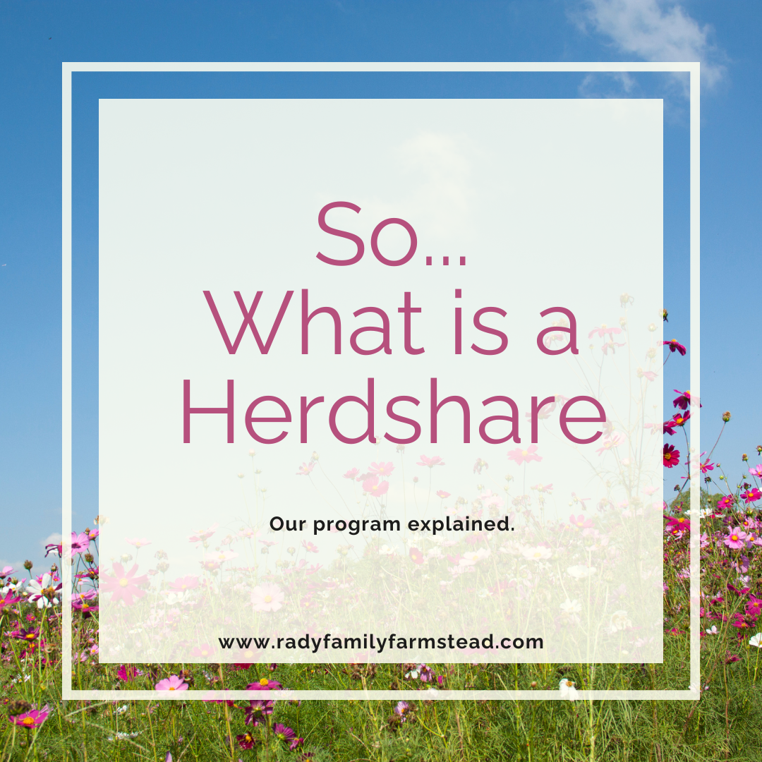 So… What Is a Herdshare?