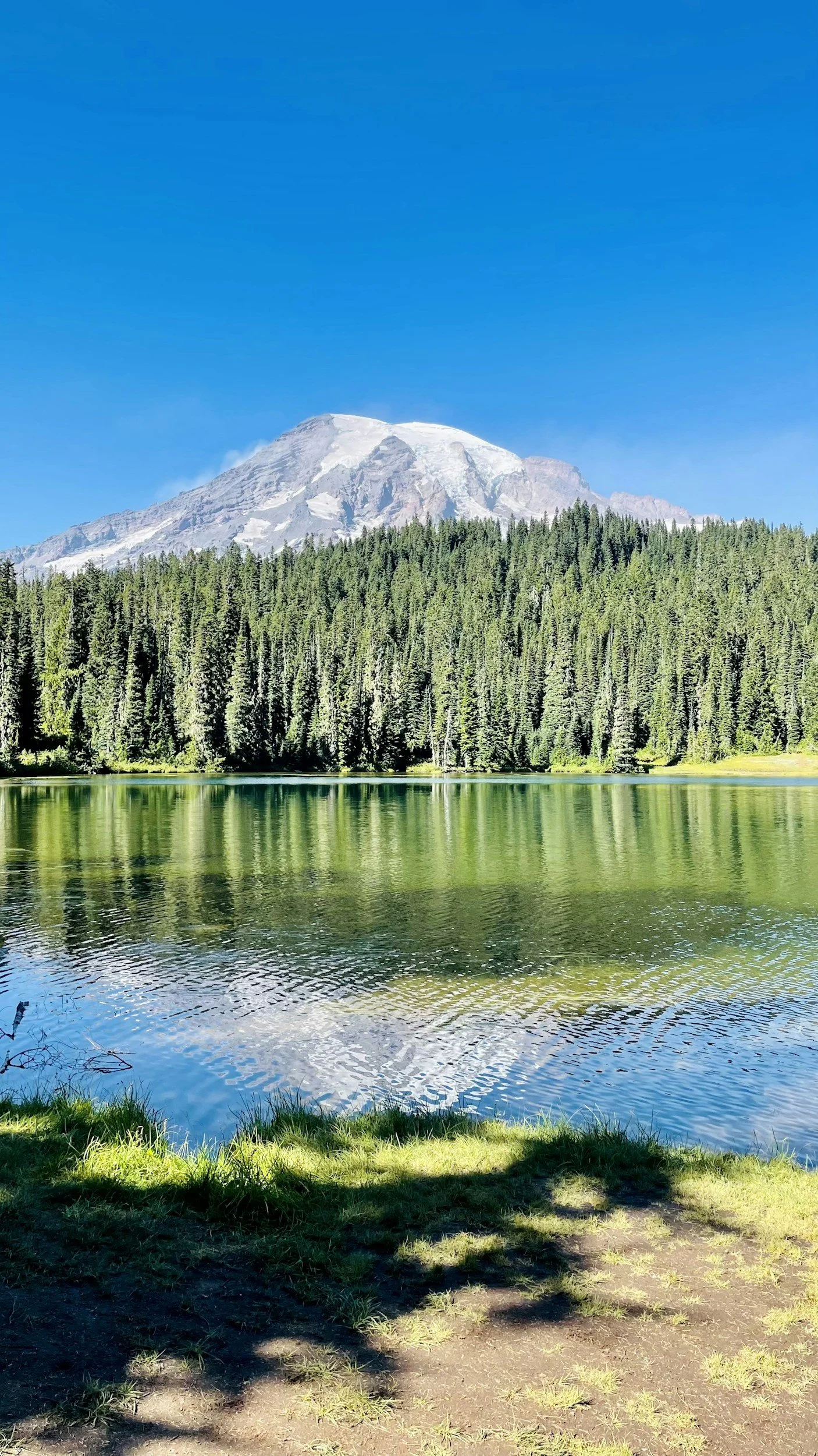 unsplash-image--xVOO1ERFQE.jpg