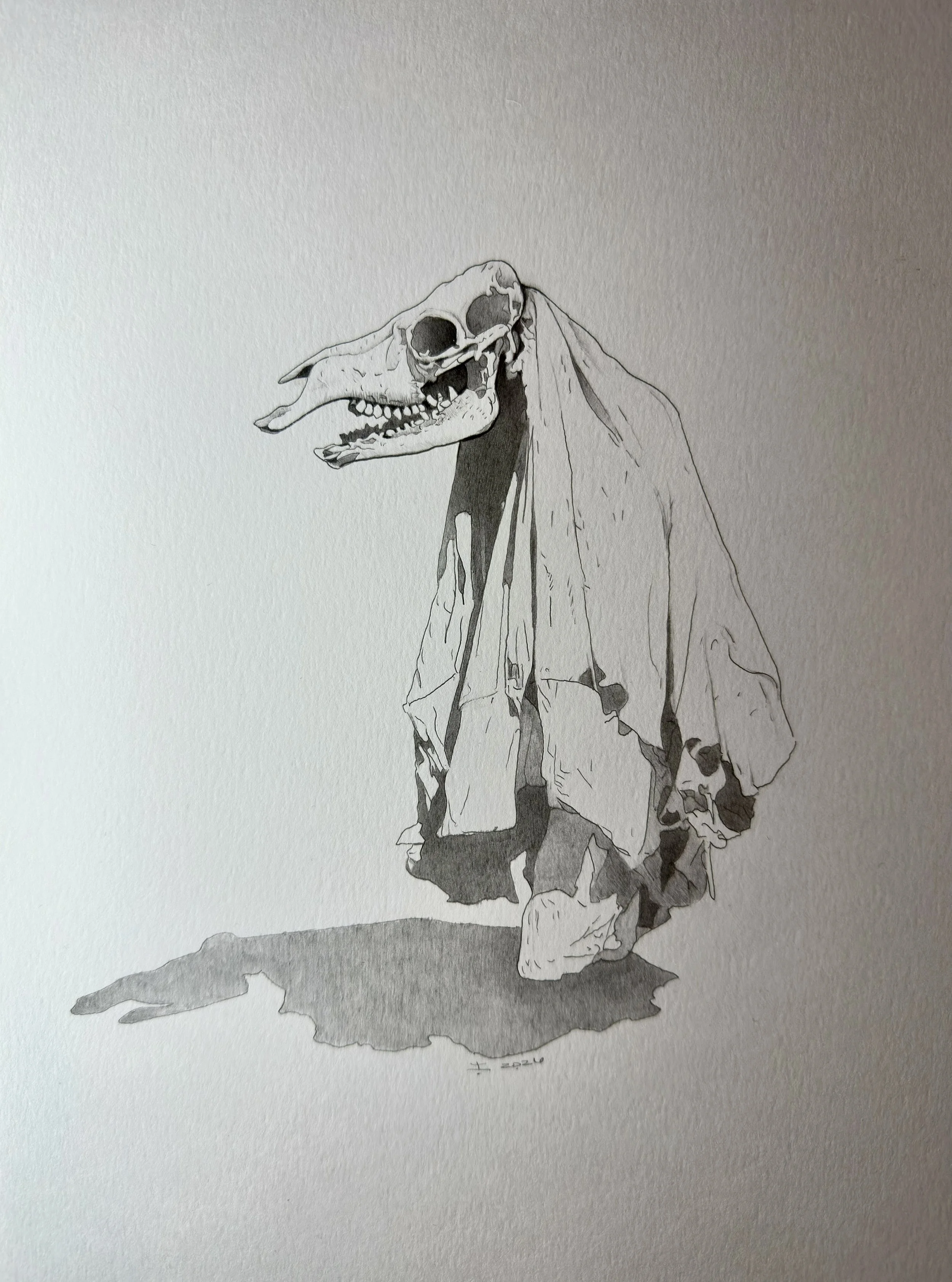 Raz’khu’reph-Desert Wraith (harbinger of monsoons).
Graphite on paper.
2026.