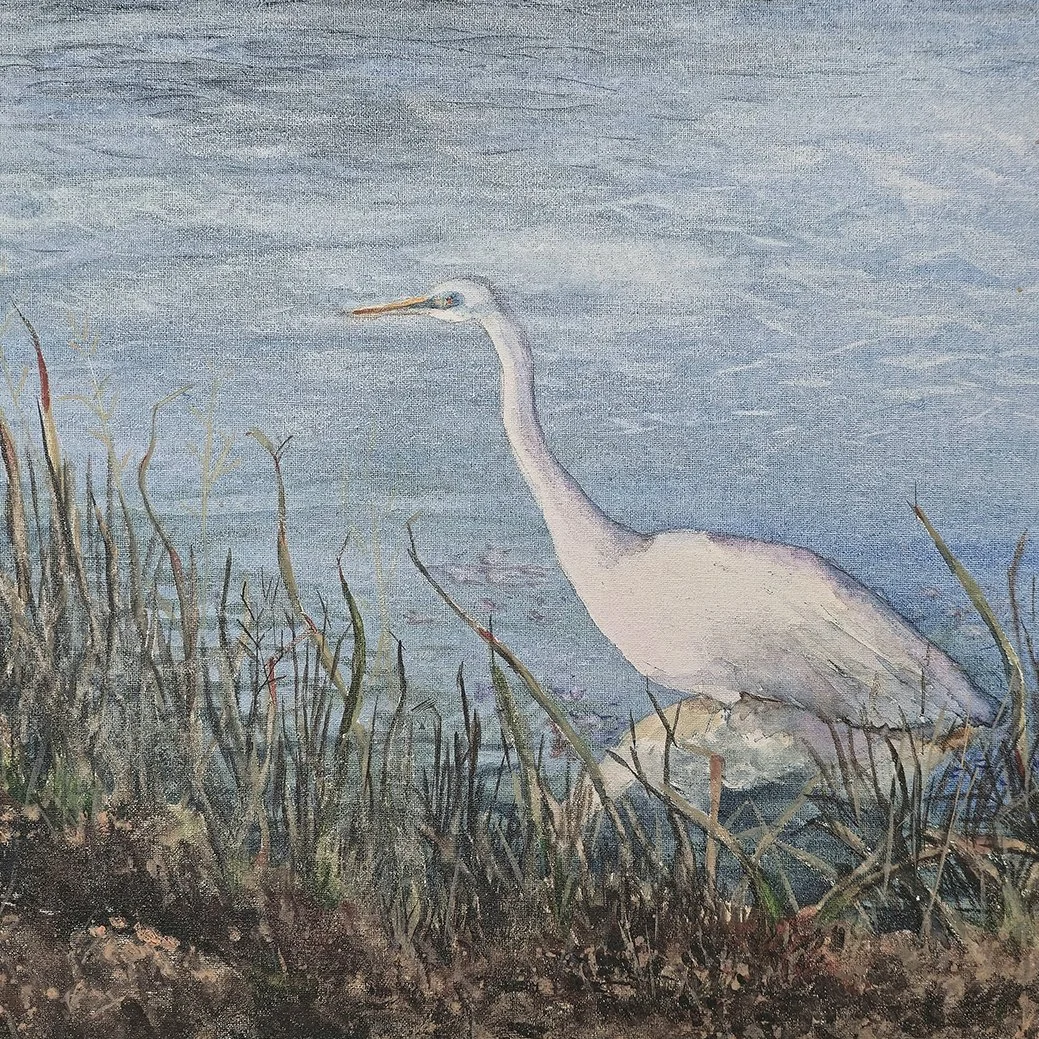 Heron, on the Shenandoah