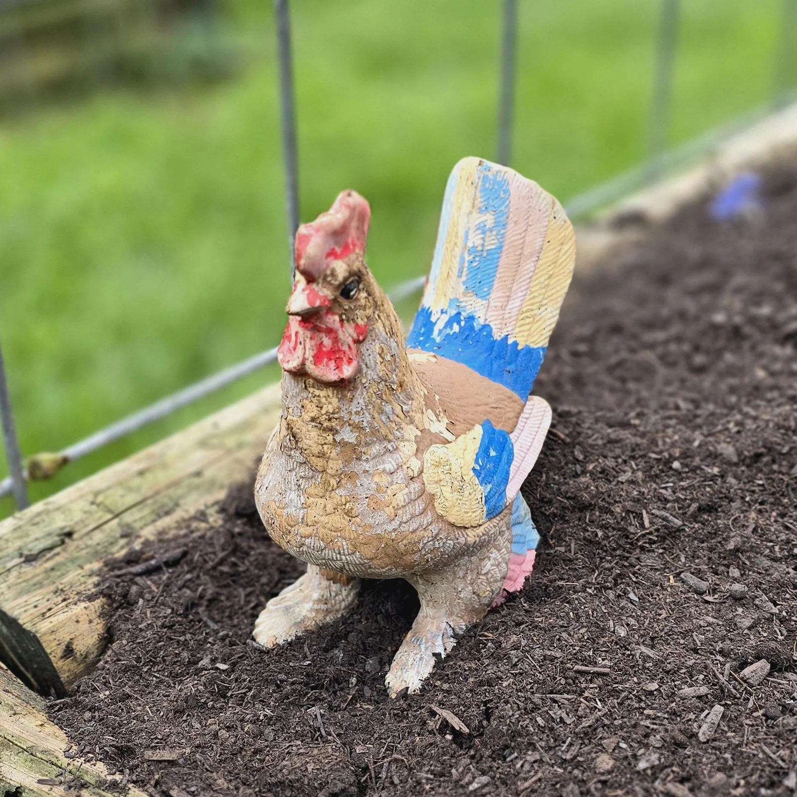 Unearthing the Chickens 