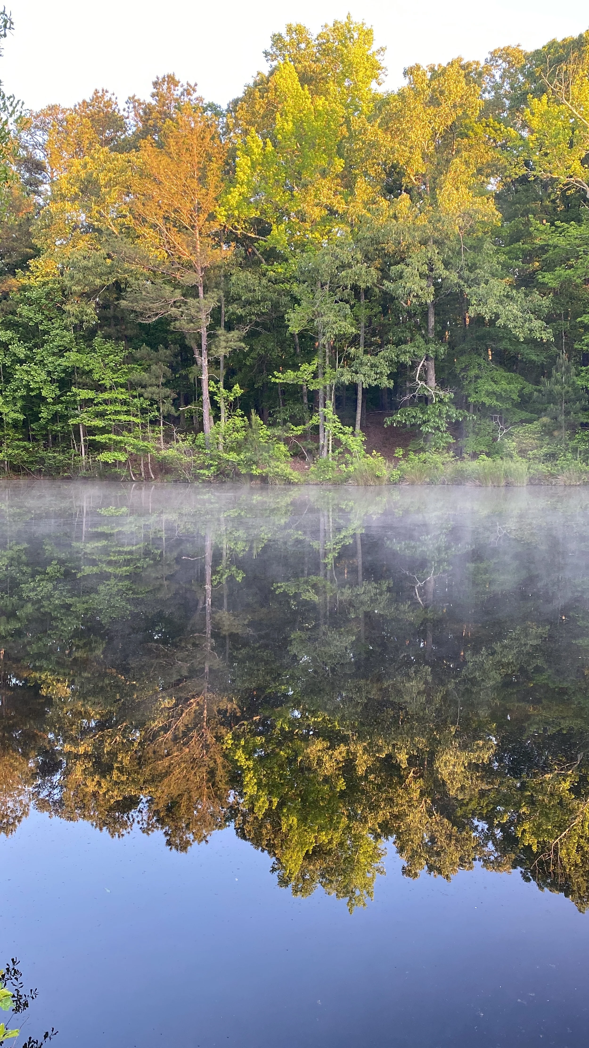 Growth, Nurture And Time