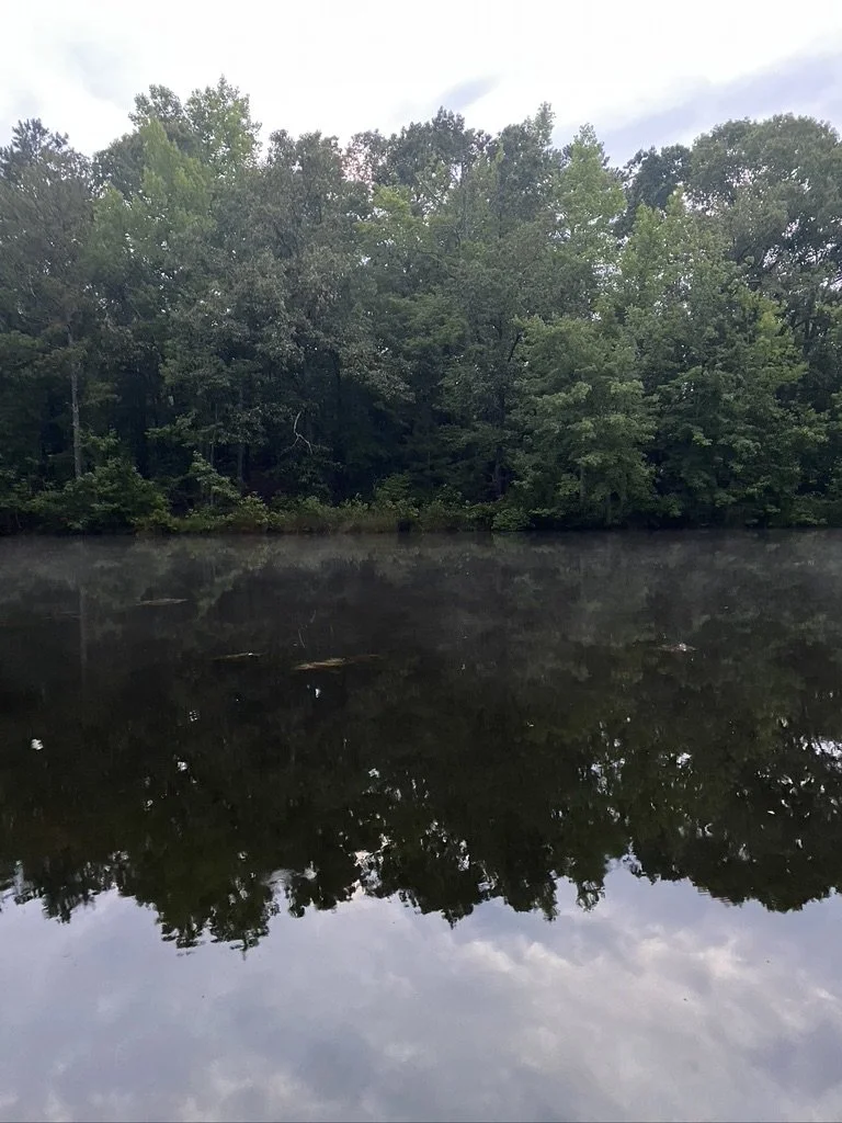 Scenes From Philo: February 2022 - June 2022