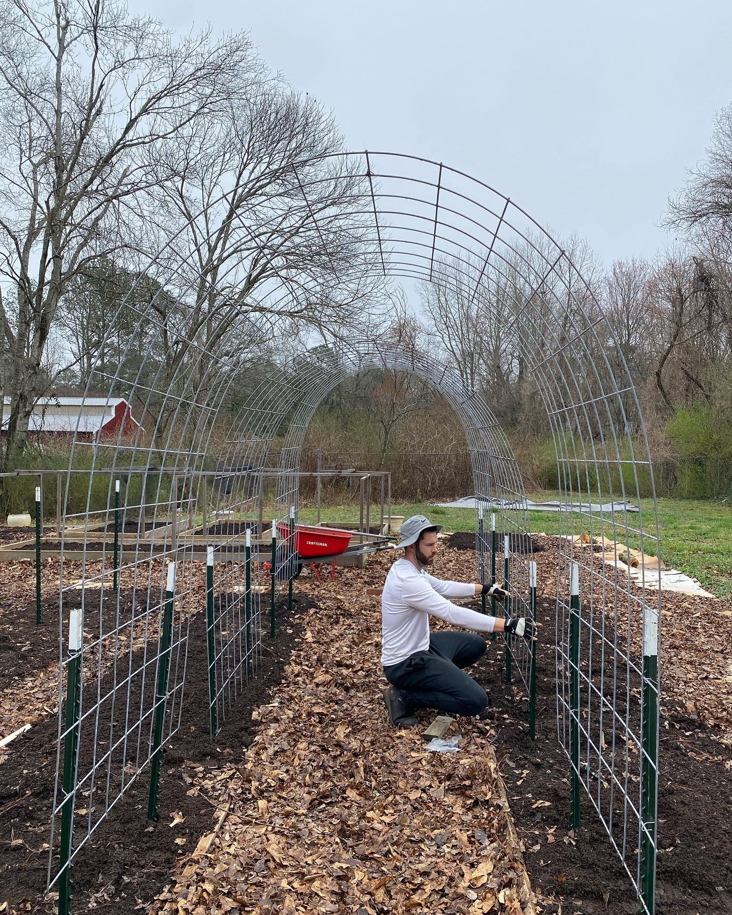 Arched trellis 👌🏾

Slowly but surely the garden vision is being realized!! Yesterday was a work day at Philo and we got a lot done! Not pictured, the hoops for our low tunnels for the cutting garden 🌺

Thankful for this man and all we get to build