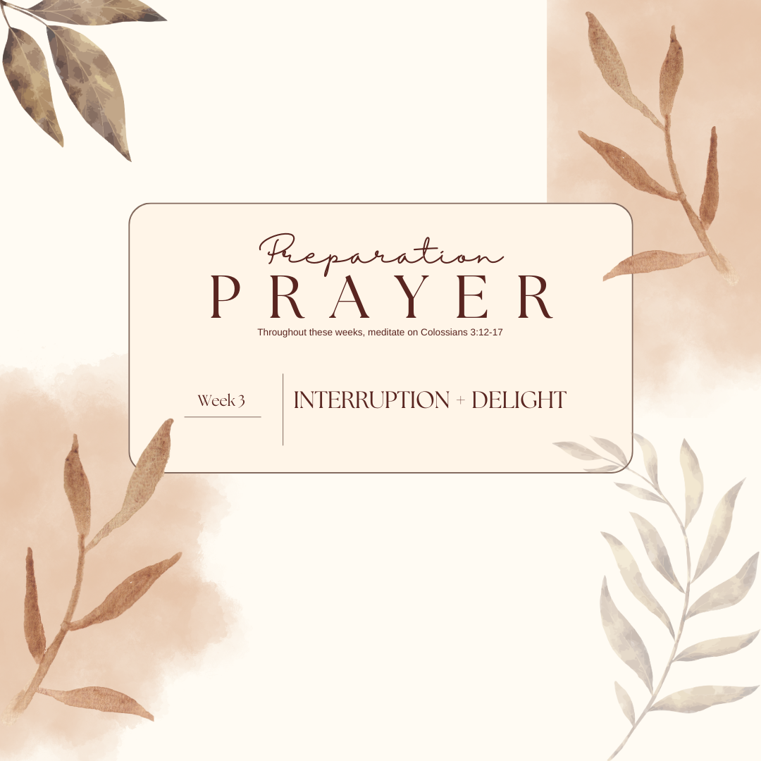 WEEK 3: PREPARING FOR THE HOLIDAYS 