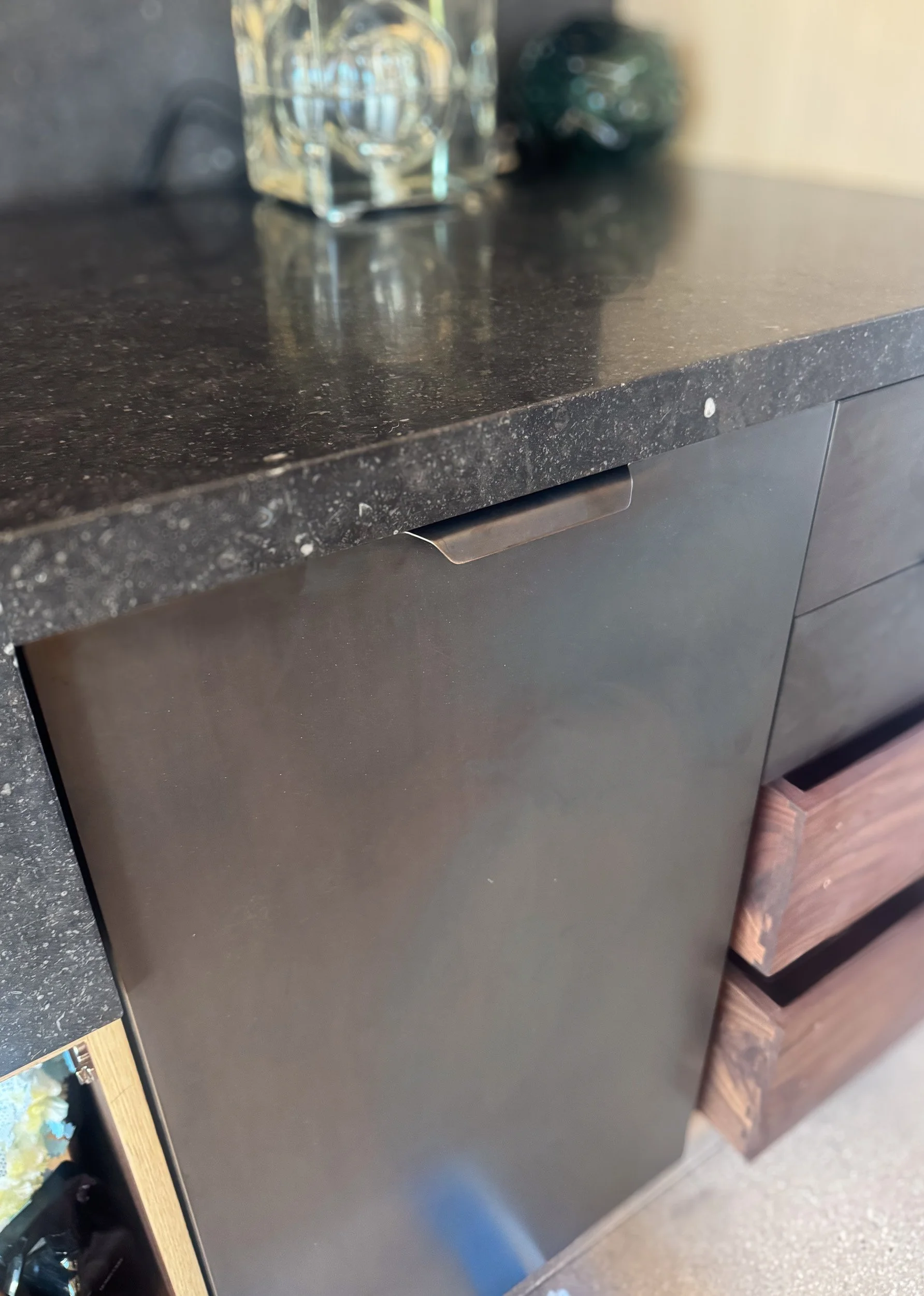 installed trash comapactor door w petina.jpg
