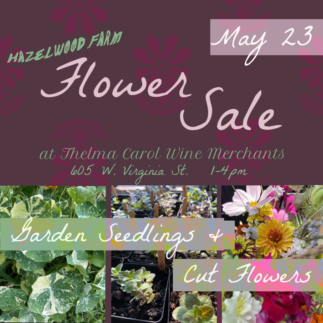 TC 2026 Patio Day 1 &amp; Hazelwood Farm Floral &amp; Seedling Sale